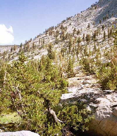 Kaweah31a