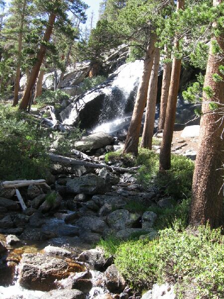 Lyell Fork Trip