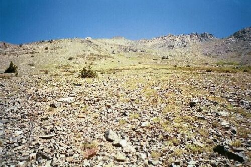 sawtooth14a